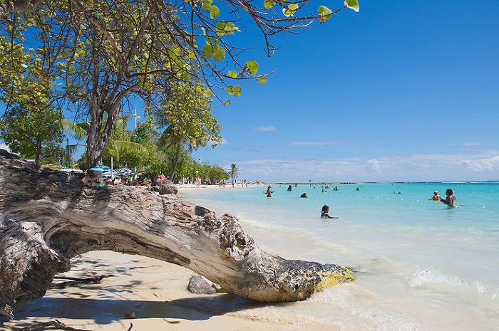 Partir au Guadeloupe cet été : ce qu'il faut savoir