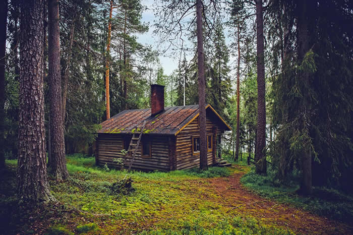 Un hébergement dans les Vosges dans une forêt