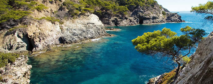 Où plonger à Port Cros ?