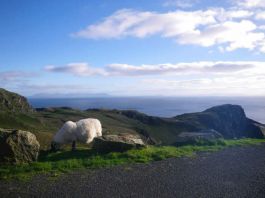 Paysage irlande