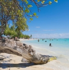 Image de Partir au Guadeloupe cet été : ce qu'il faut savoir