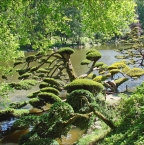 Image de Le plus grand jardin japonais d’Europe