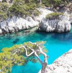 Image de Excursion Marseille : Pourquoi ne pas visiter les Calanques