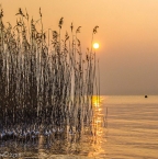 Image de Découvrir le lac Léman en long et en large