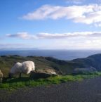 Image de Une idée de circuit pour votre voyage en Irlande