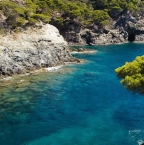 Image de Où plonger à Port Cros ?